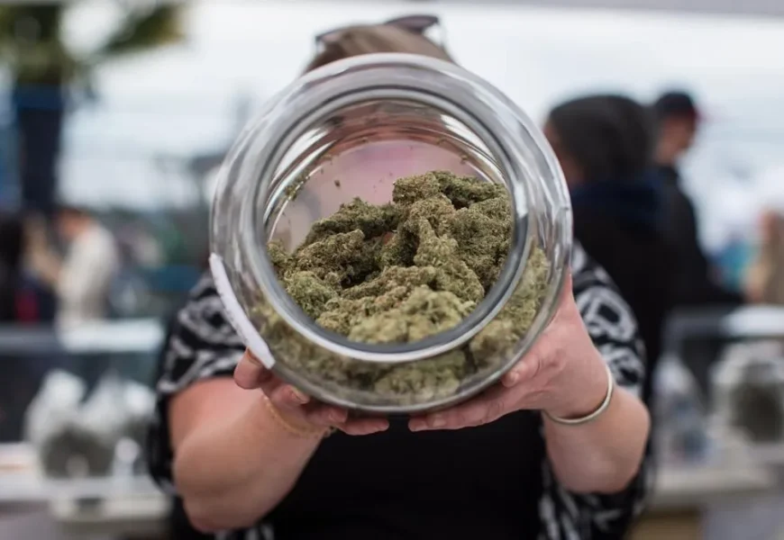 Where to Find High-Quality Cannabis in Saskatoon
