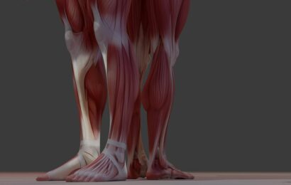 Exploring the Role of Advanced Vascular Care in Peripheral Artery Disease