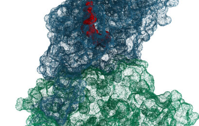 Cancer research FDA approval: Proven breakthrough for patients