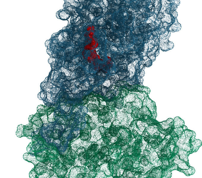 Cancer research FDA approval: Proven breakthrough for patients